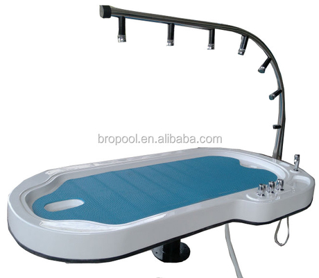 Tableau de pliage de lit de douche de Vichy de l'hydrothérapie VS-02 pour la pièce de douche d'intérieur