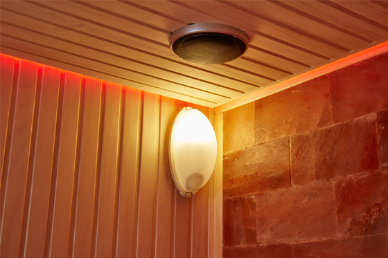 Pièce de luxe adaptée aux besoins du client Cedar Aspen Sauna Room rouge en bois d'intérieur de station thermale de sel de pierre de roche