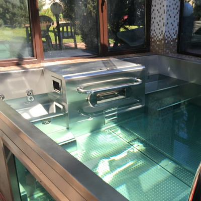 Piscine de luxe de la belle de Hydromassage de jardin en métal de vue d'inground de piscine station thermale modulaire 12x24 Inground de bain